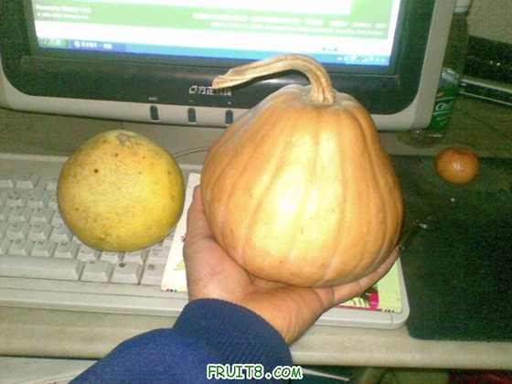 20100112_004.jpg