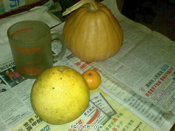 20100112_007.jpg