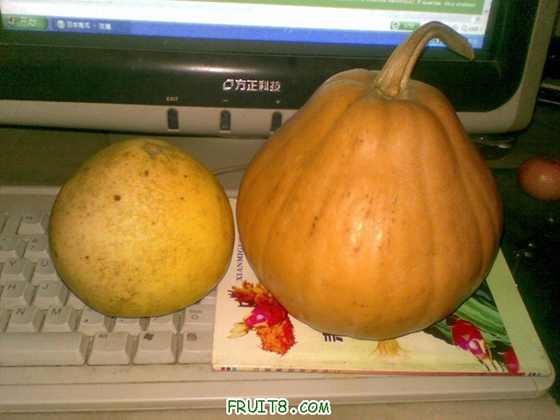 20100112_003.jpg