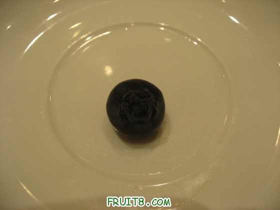 IMG_4665_copy.jpg