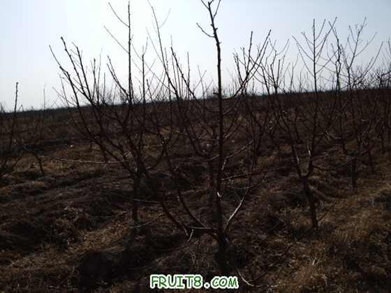 ��Ƭ 074.jpg