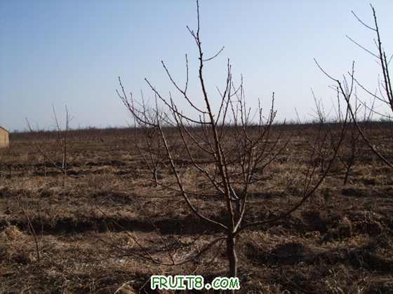 ��Ƭ 073.jpg