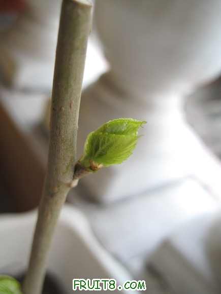 20091318.jpg