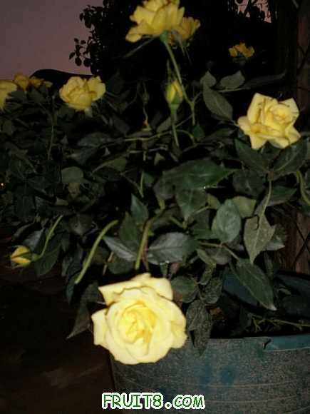 P1150142.JPG