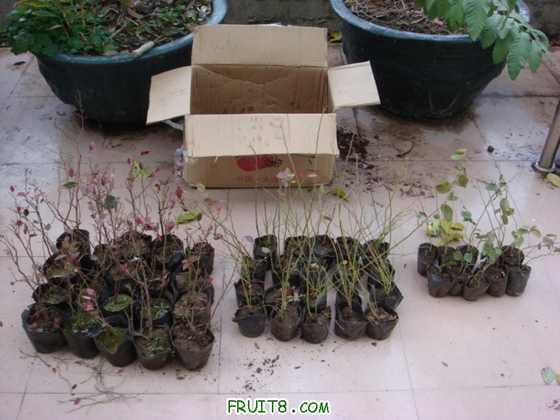 ��Ƭ  ����« 093.jpg