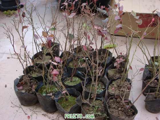 ��Ƭ  ����« 094.jpg