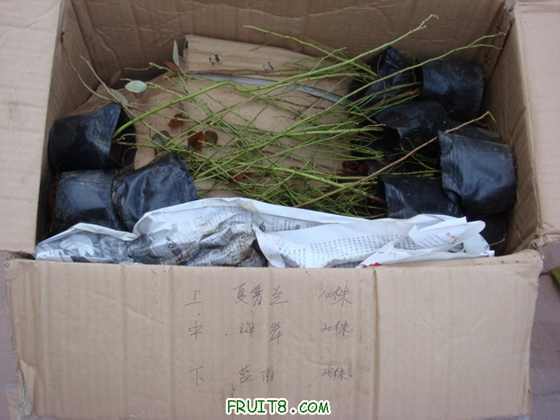 ��Ƭ  ����« 092.jpg