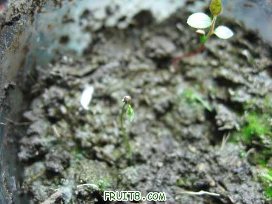 IMG_5793_copy.jpg
