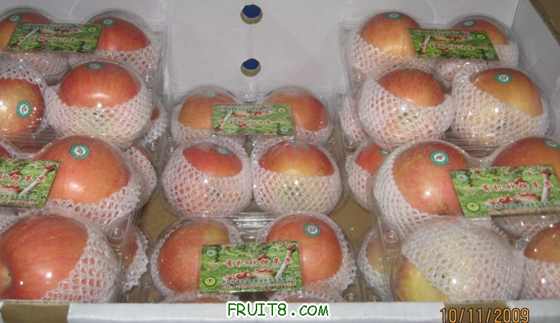 Ƭ 065.jpg