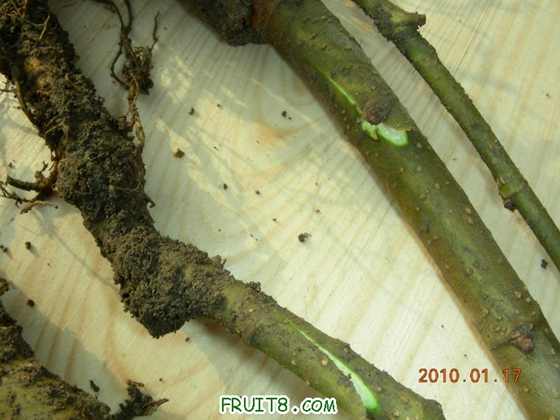 DSCN4611.JPG