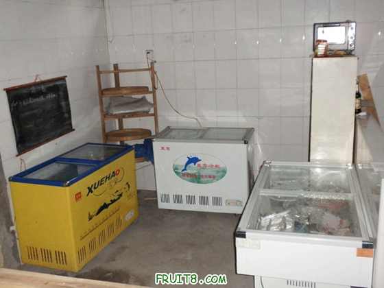 P1160084.JPG