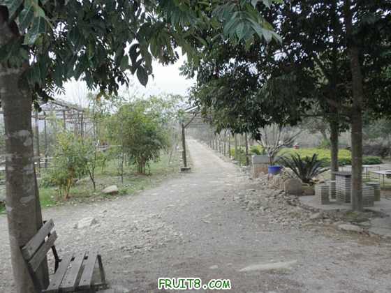 P1160245.JPG