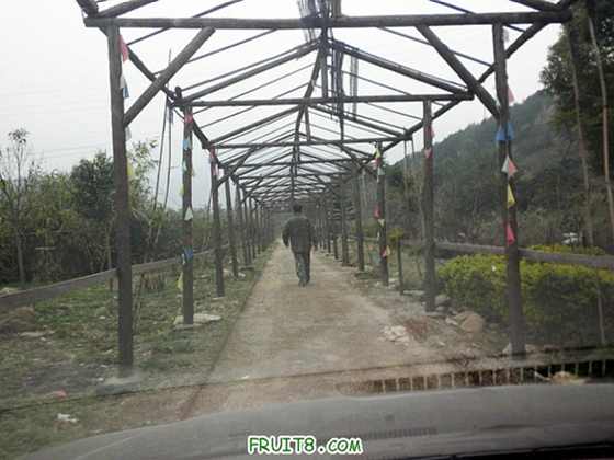 P1160247.JPG