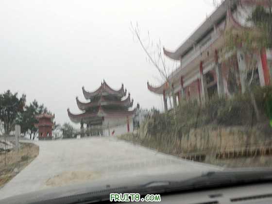 P1160283.JPG
