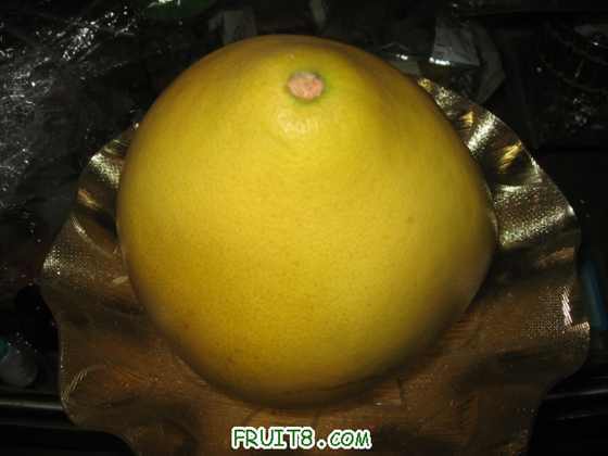 IMG_5732_copy.jpg