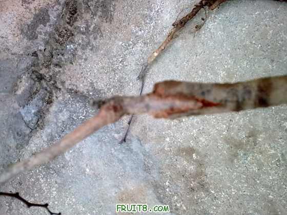 20100116_012.jpg