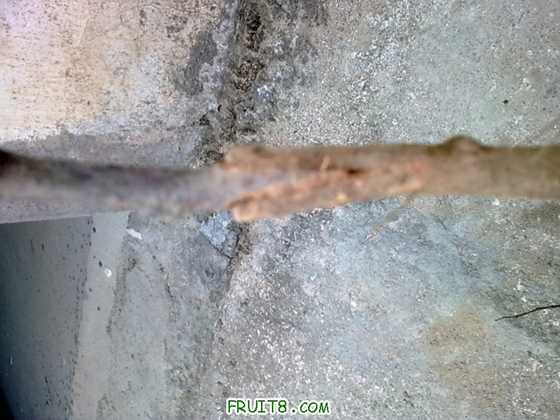 20100116_013.jpg