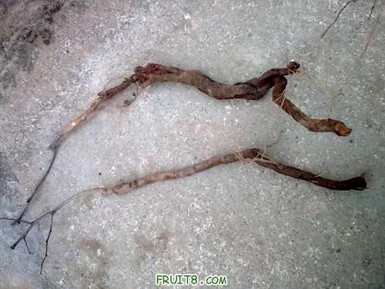 20100116_011.jpg