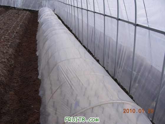 DSCN4800.JPG