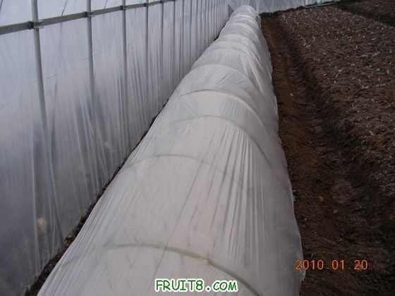 DSCN4804.JPG