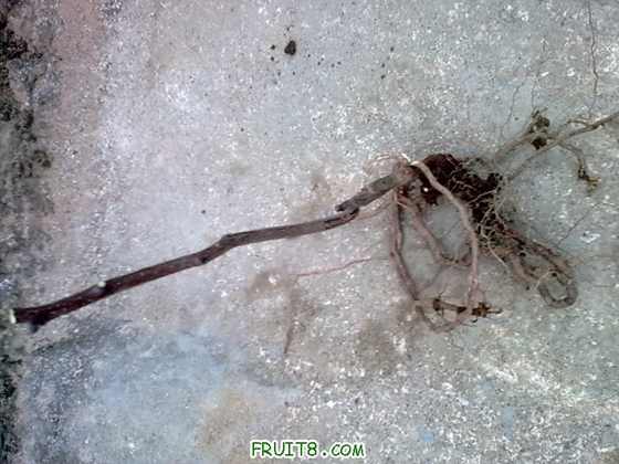 20100116_018.jpg