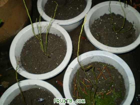 P1230028 (С��).JPG