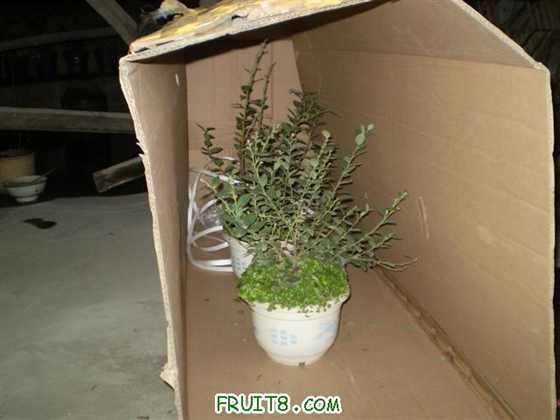 P1230030 (С��).JPG