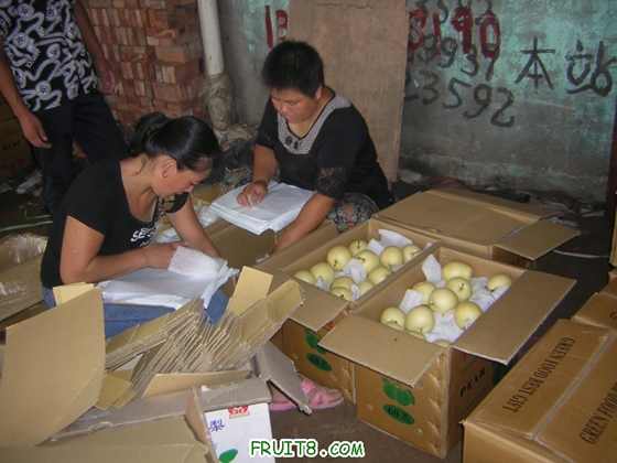 DSCN4974.JPG