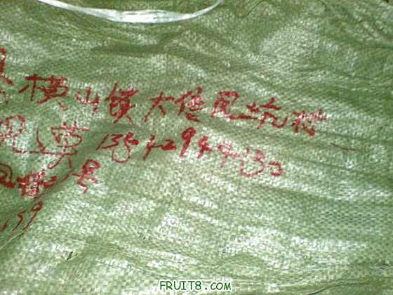 20100124_014.jpg