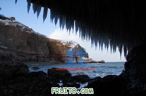 20100121132355_3RMZTDQ6.jpg