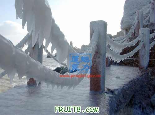 20100121132407_FOAUKZ8I.jpg