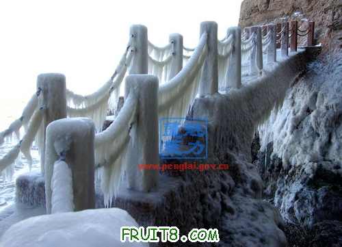 20100121132342_B3MYV918.jpg
