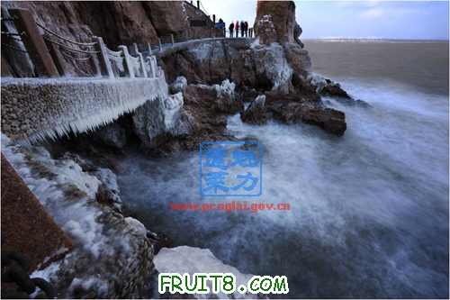 20100121132358_BJZSKKRZ.jpg