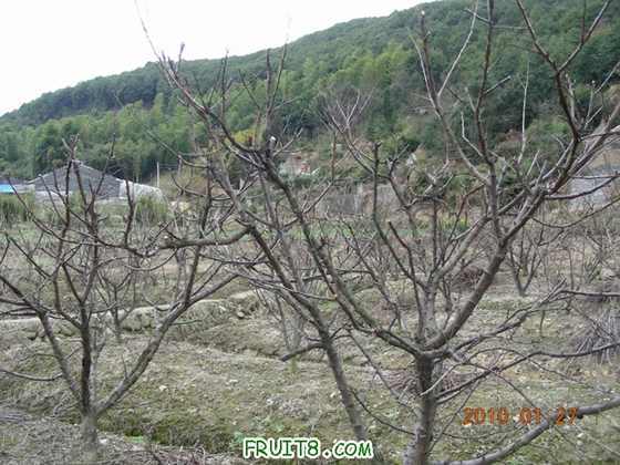 DSCN4998.JPG