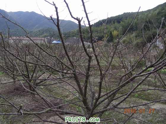 DSCN5000.JPG