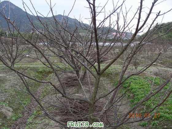 DSCN5006.JPG