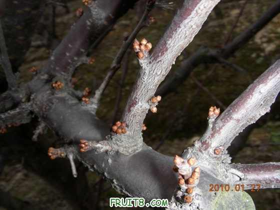 DSCN4994.JPG