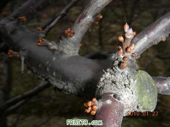 DSCN4995.JPG