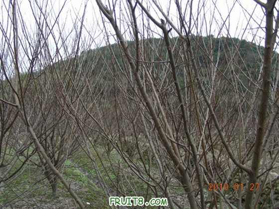 DSCN0002.JPG