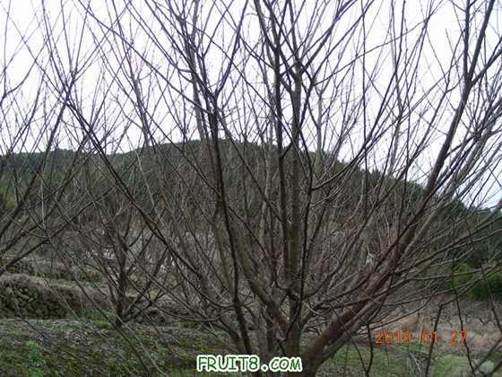 DSCN0003.JPG