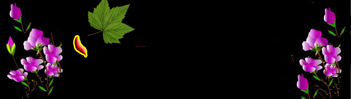һƽ.gif