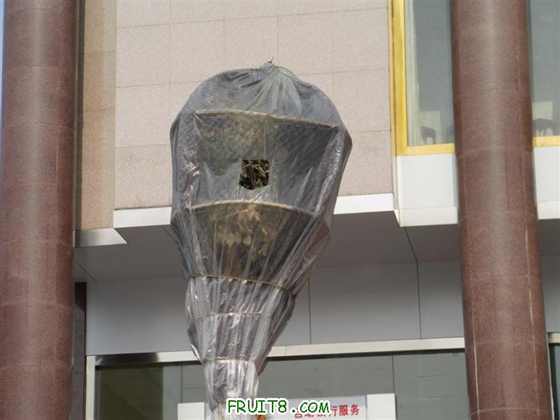 IMAG0193 (����).JPG