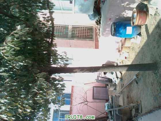 IMAG0091 (����).jpg