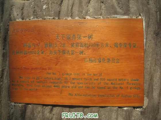 ��Ƭ 1094.jpg