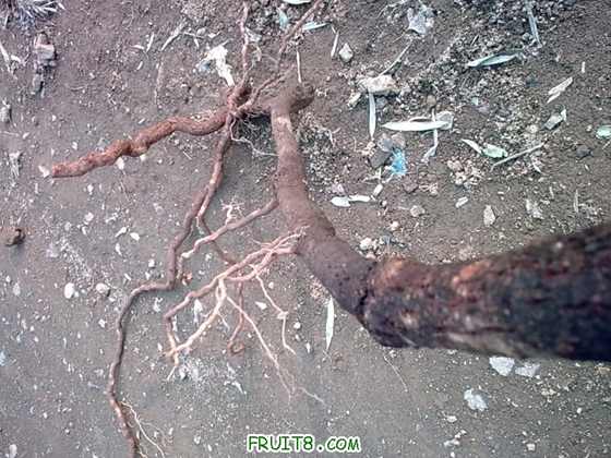 20100125_010.jpg