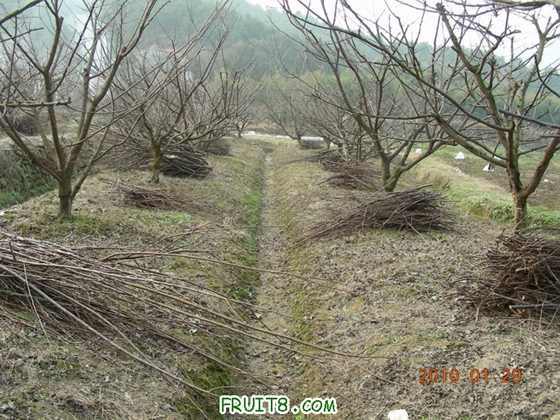 DSCN5059.JPG