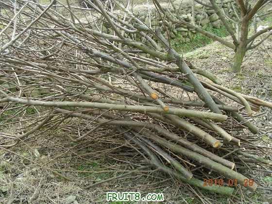 DSCN5061.JPG