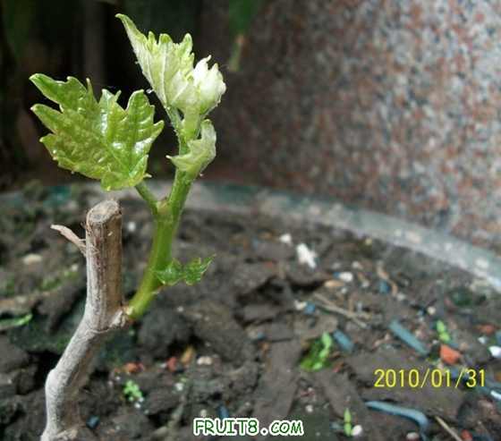 100_0618.JPG