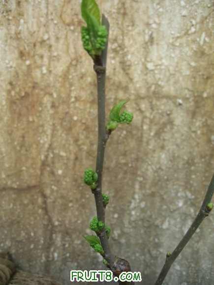 ������� 122.jpg