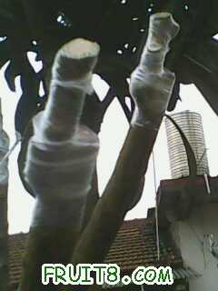 IMG0335A.jpg